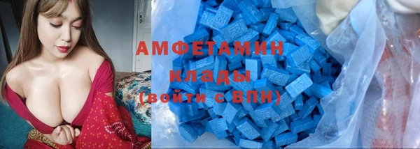 spice Богородицк