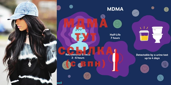 spice Богородицк