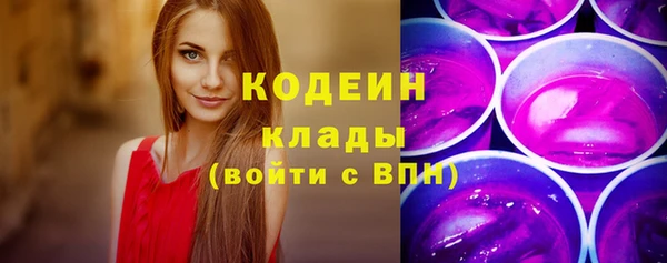 spice Богородицк