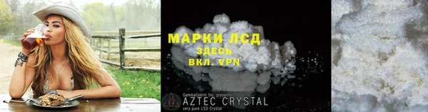 spice Богородицк