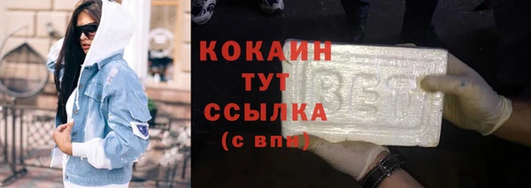 spice Богородицк