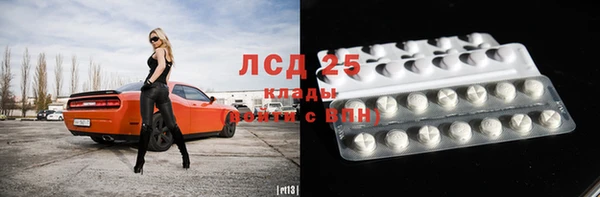 spice Богородицк
