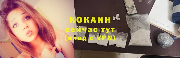 spice Богородицк
