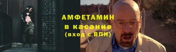 spice Богородицк