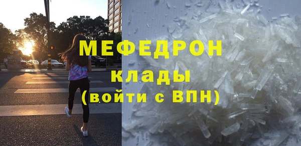 spice Богородицк