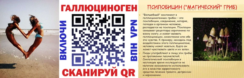 Псилоцибиновые грибы прущие грибы  купить закладку  Нальчик 